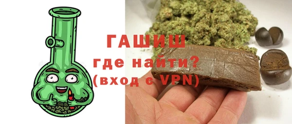 гашик Алексин