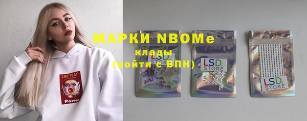 гашик Алексин