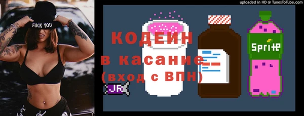 гашик Алексин
