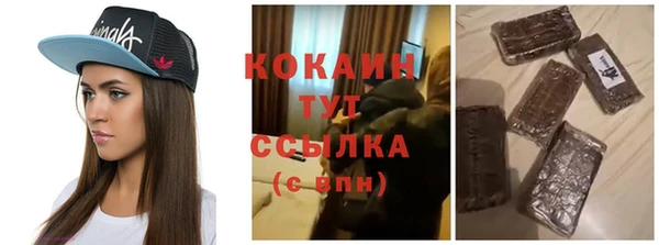 гашик Алексин