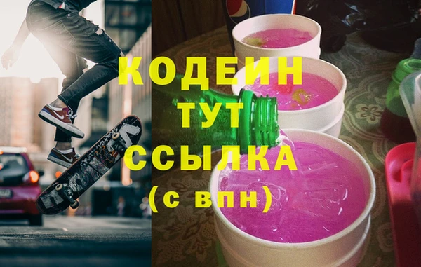 гашик Алексин