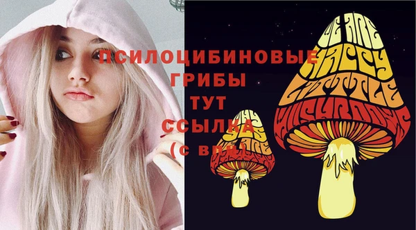 эйфоретик Алзамай