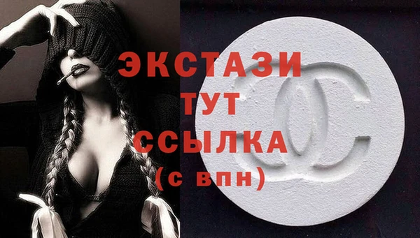 гашик Алексин