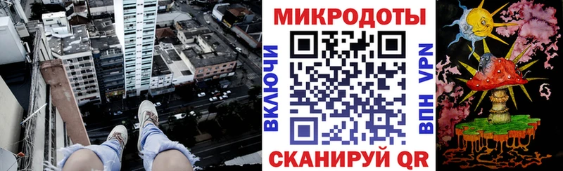 Галлюциногенные грибы Psilocybe  Новоульяновск 
